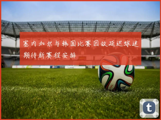 塞内加尔与韩国比赛因故延迟球迷期待新赛程安排